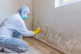 Tiffin, OH Mold Prevention & Removal  Company